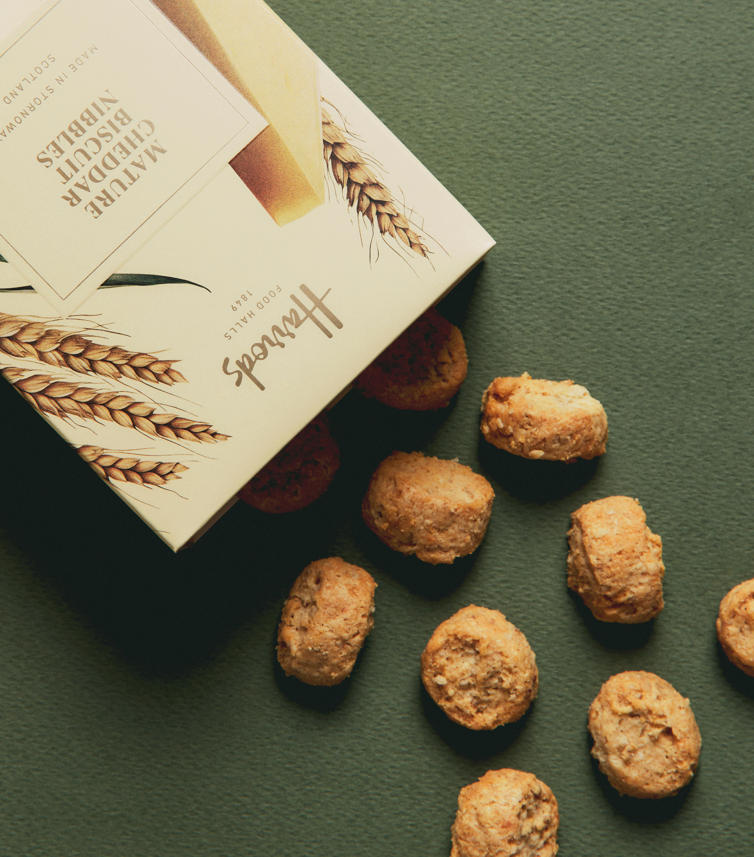 7422611-5_High Res.png