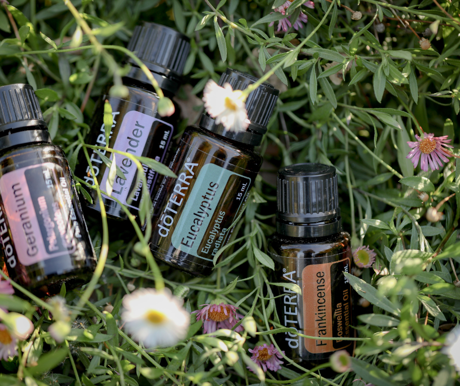 Multiple bottles of doTERRA essential oils lying among green foliage and small pink and white flowers.