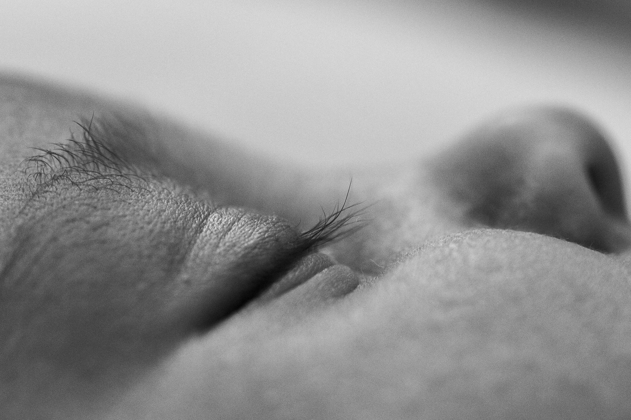 Newborn Macro Photography Bendigo