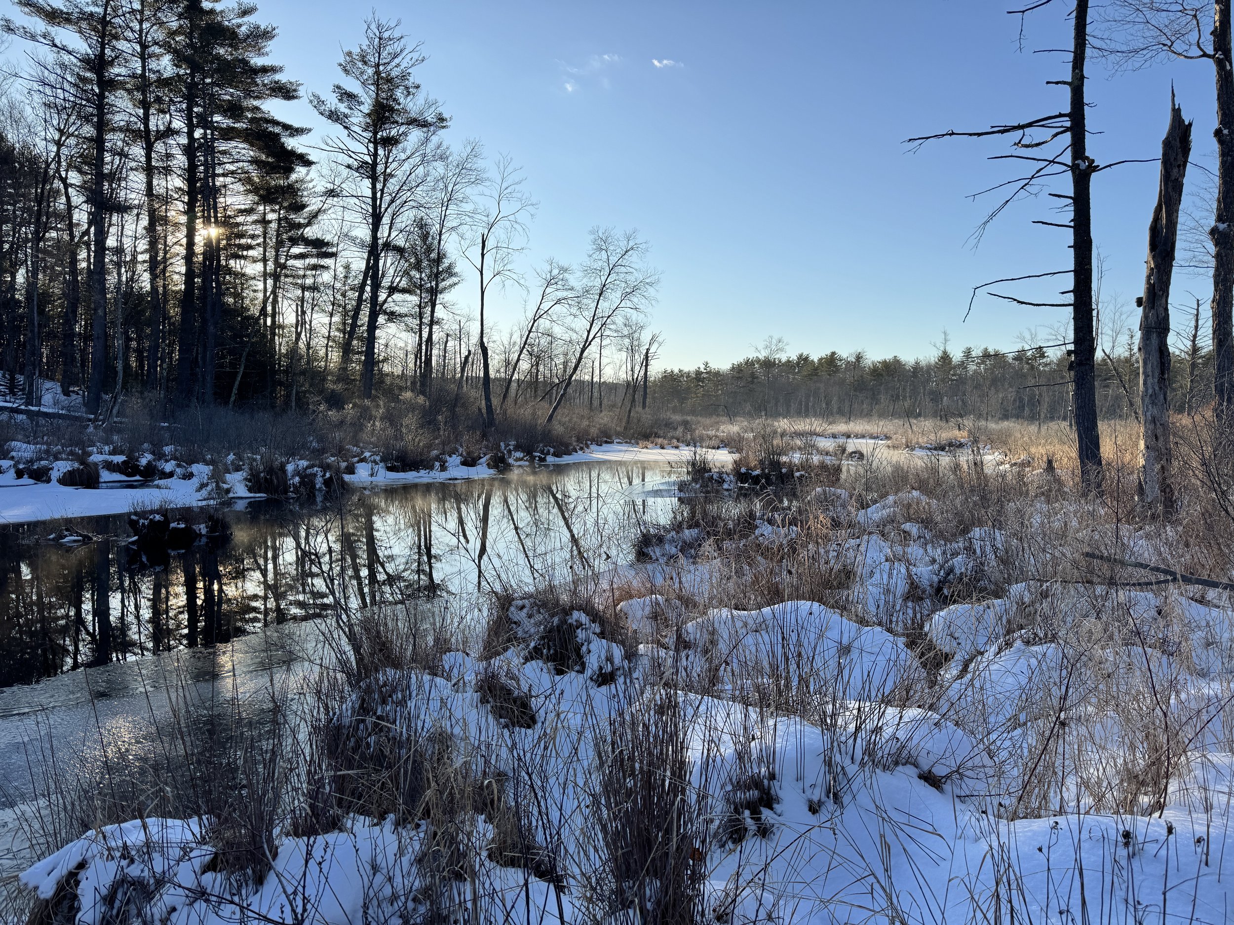 Calling all volunteers!