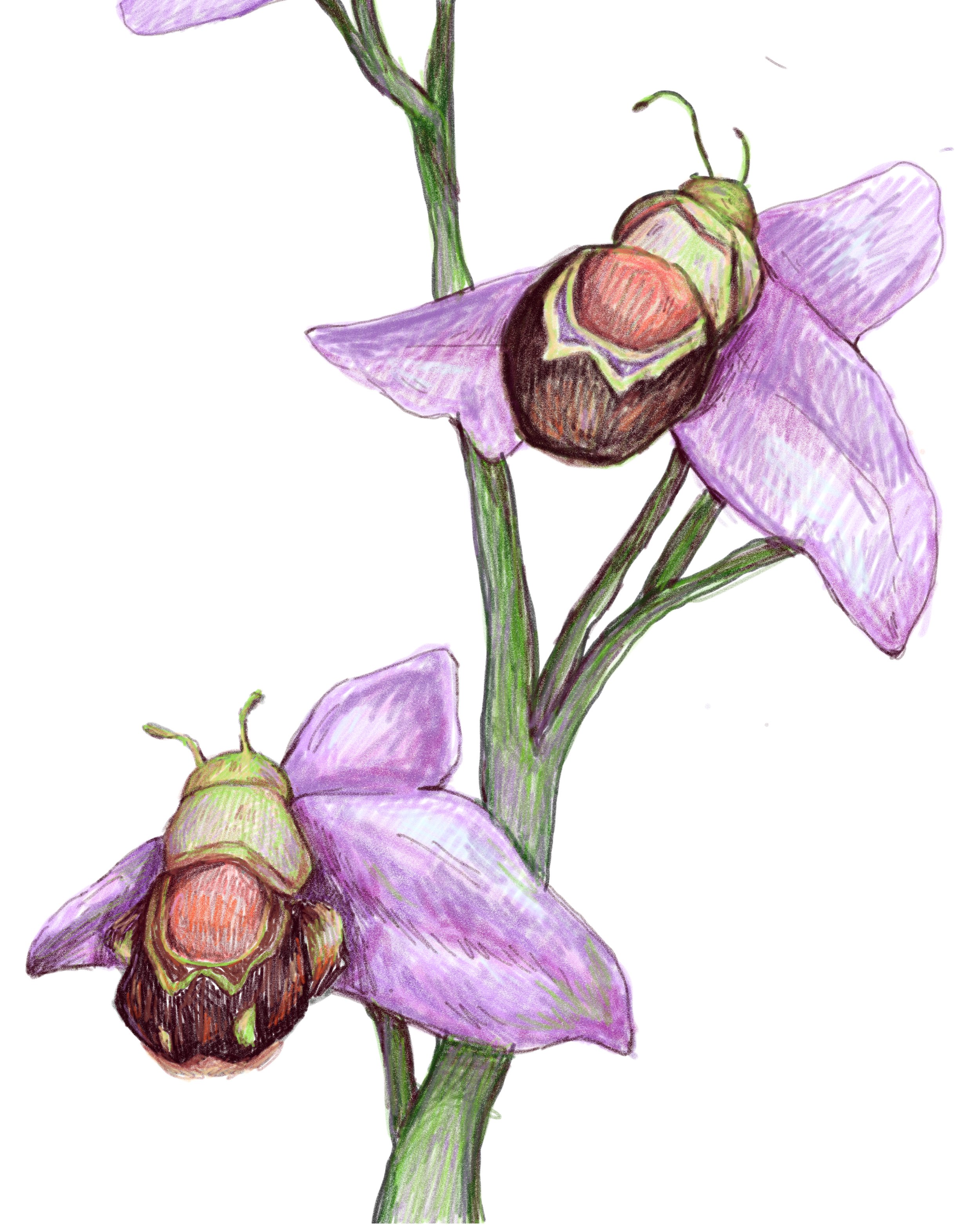 Untitled - September 27, 2023 15.24.jpg