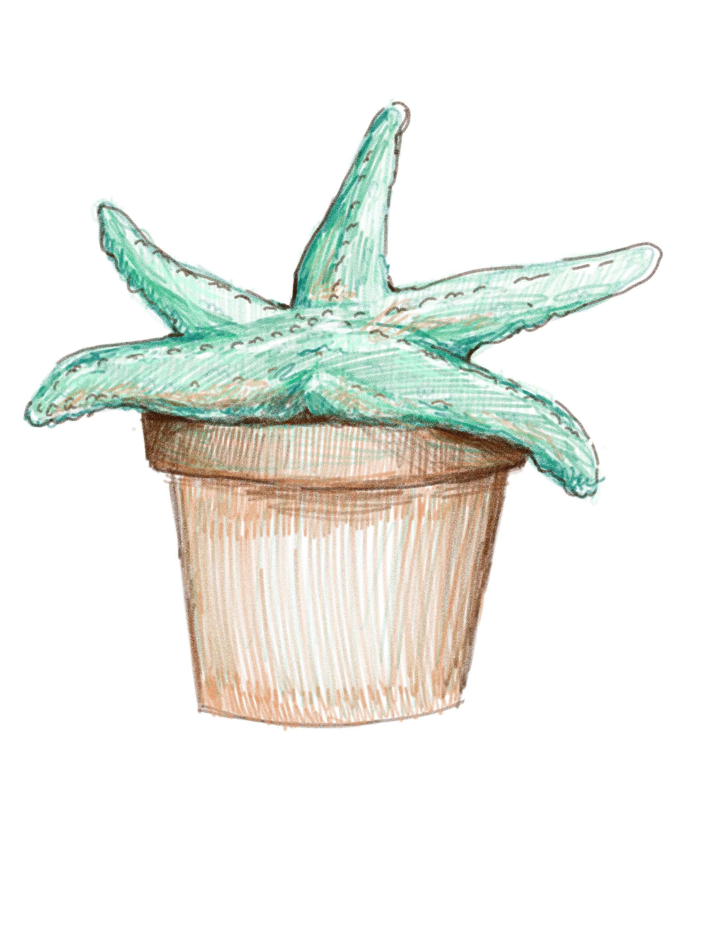 Untitled - December 4, 2023 22.29.jpg