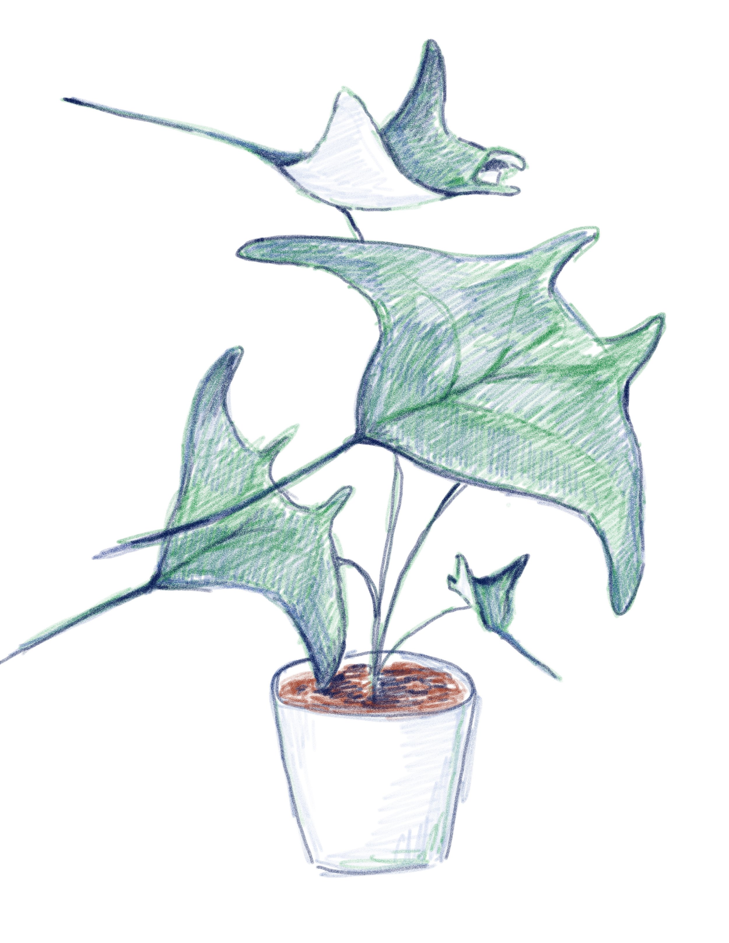 Untitled - December 5, 2023 10.46.01.jpg