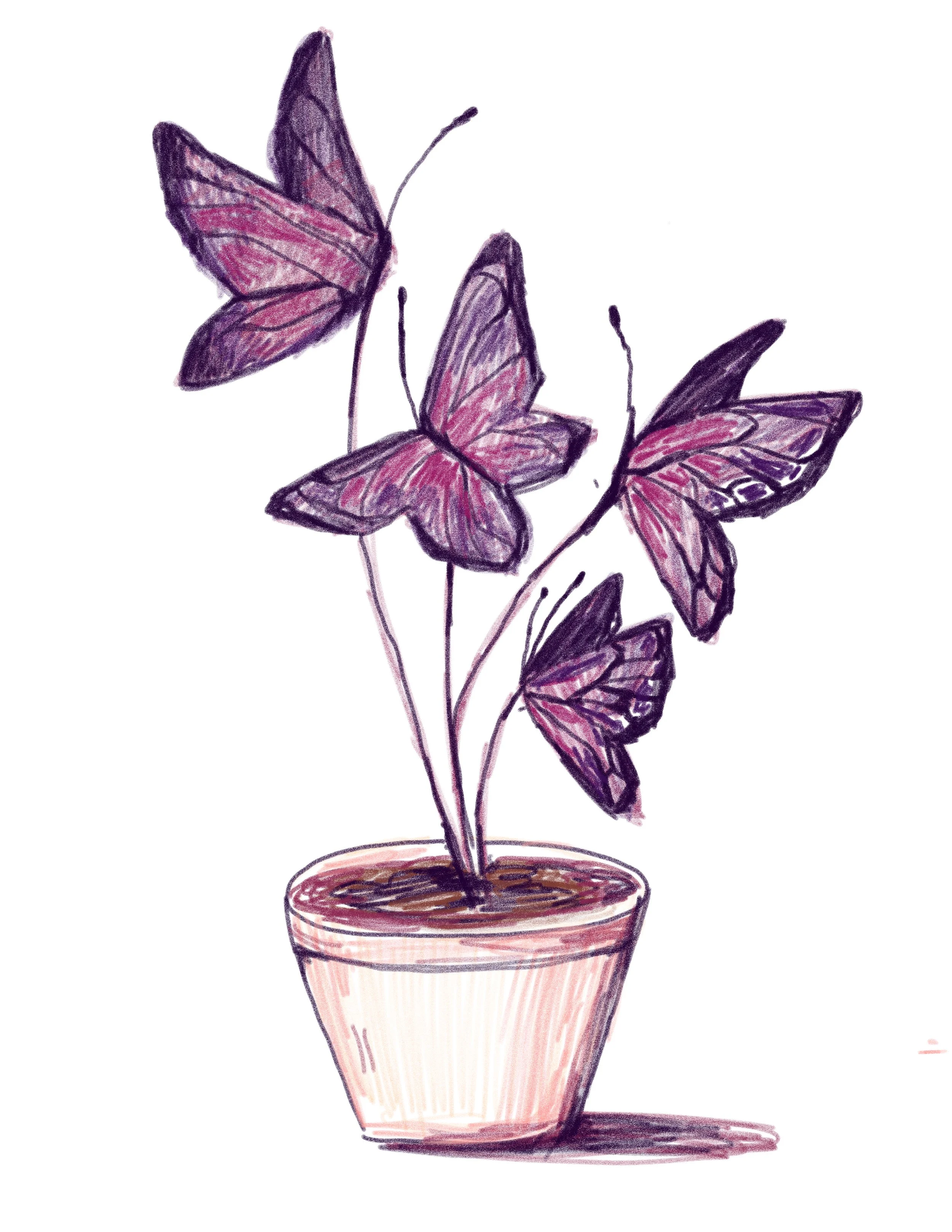 Untitled - December 5, 2023 12.01.17.jpg