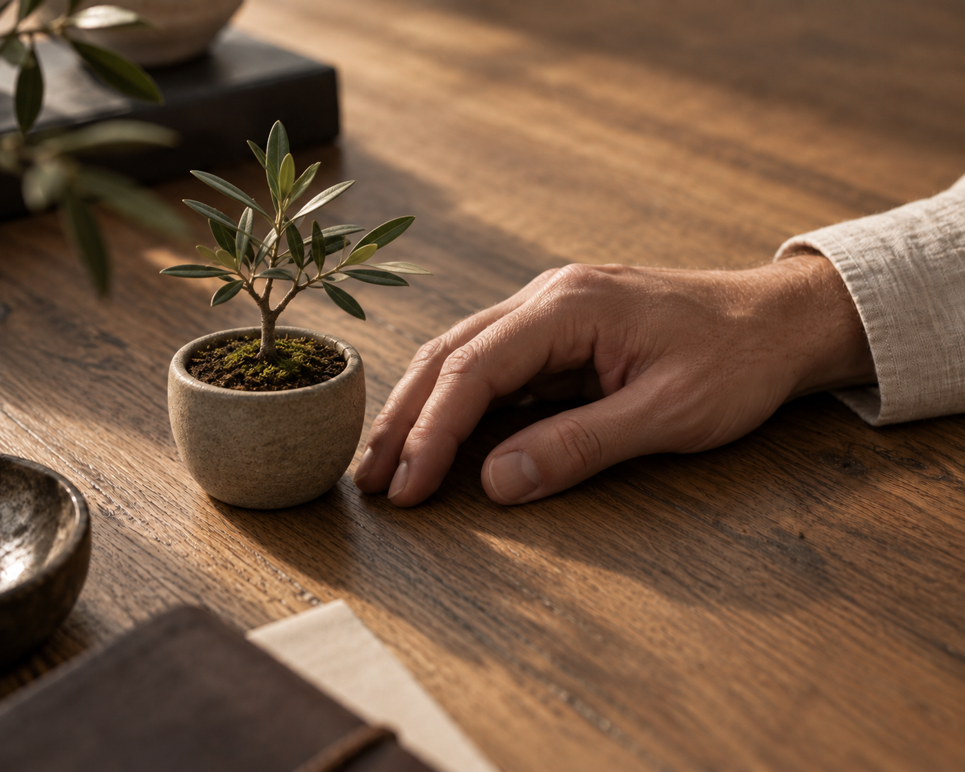 A hand resting beside a small potted sapling on an oak desk, representing disciplined, long-term investment growth