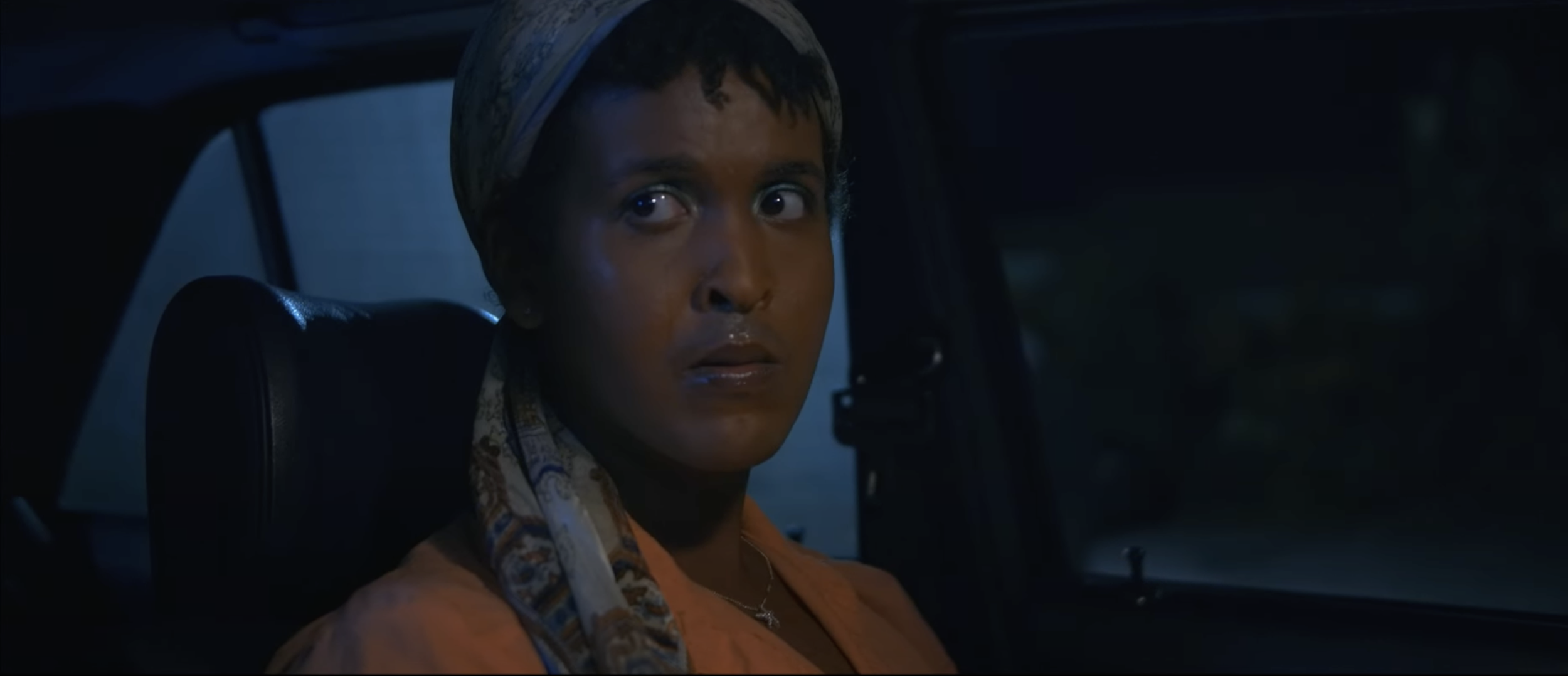 THE LAST BUTTERFLY (2025)