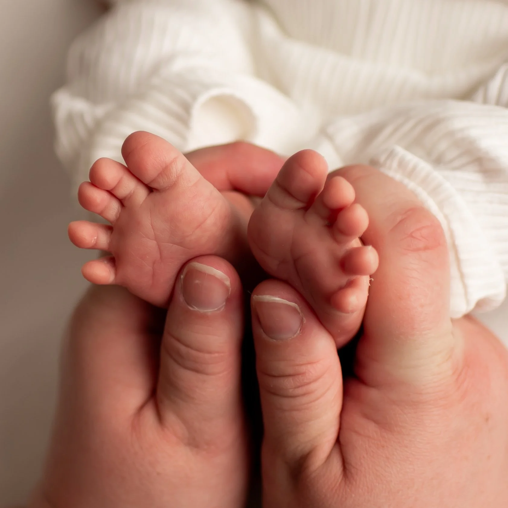 Fenton-Missouri-Baby-Photographer.jpg