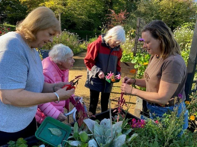 Effectiveness of social and therapeutic horticulture for reducing symptoms of depression and anxiety