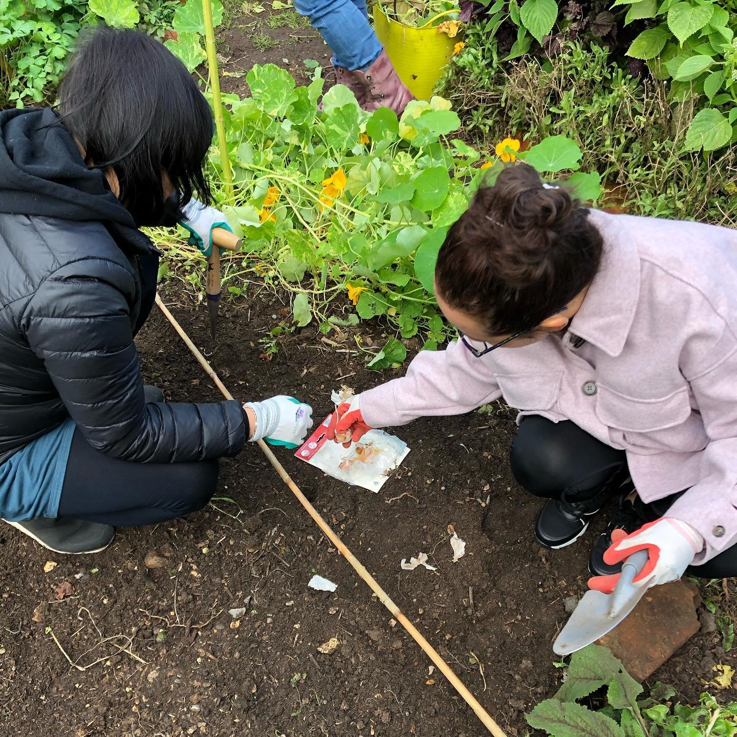 Green engagement worker for Reading Green Wellbeing Network