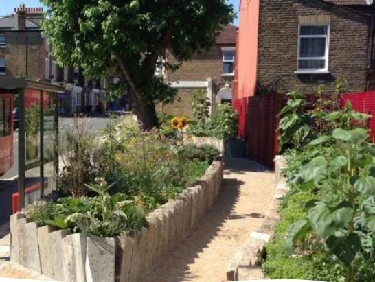 Start a community garden - advice from the Eden Project