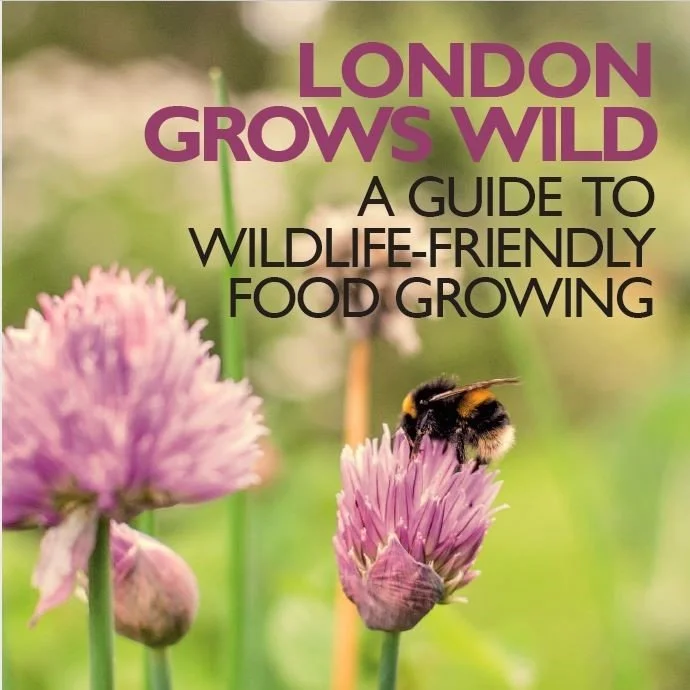 London Grows Wild: A guide to wildlife-friendly food growing. Published by Sustain