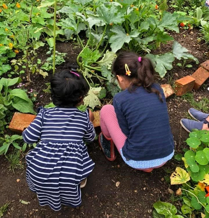 Getting inspiration for a new gardening year