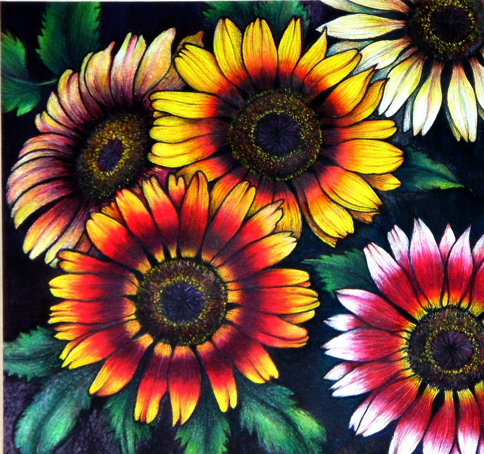 Jinan Jabagi Daisy.jpg