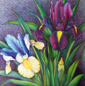 Jinan Jabagi Iris_300.jpg