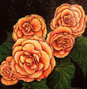 Jinan Jabagi Begonia_300.jpg