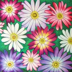 Jinan Jabagi daisies_300.jpg