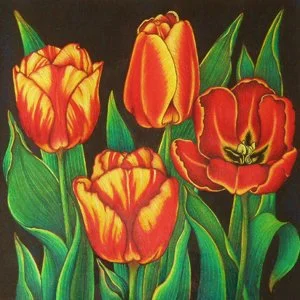 Jinan Jabagi Tulips_300.jpg