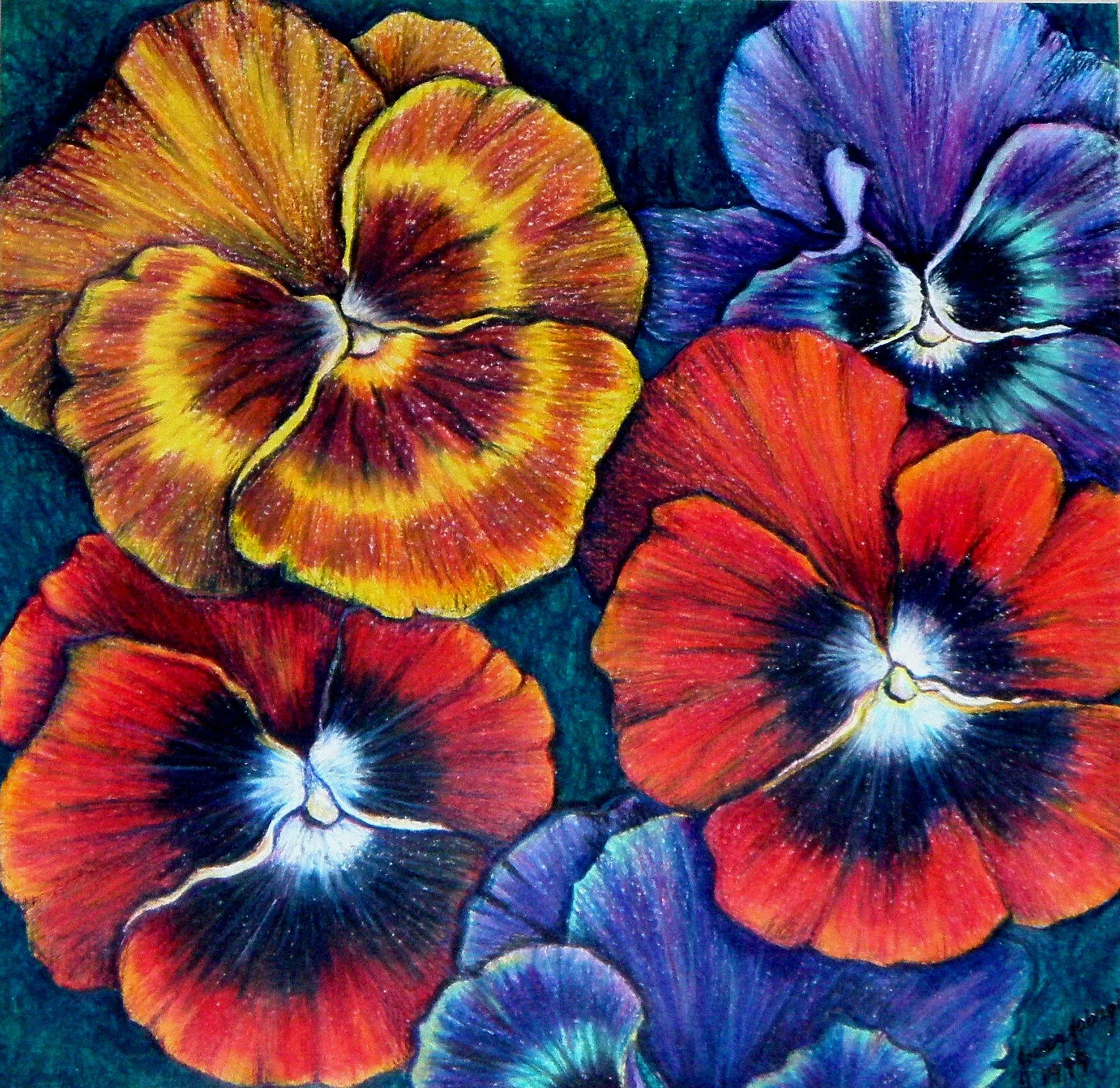 Jinan Jabagi Pansies.jpg