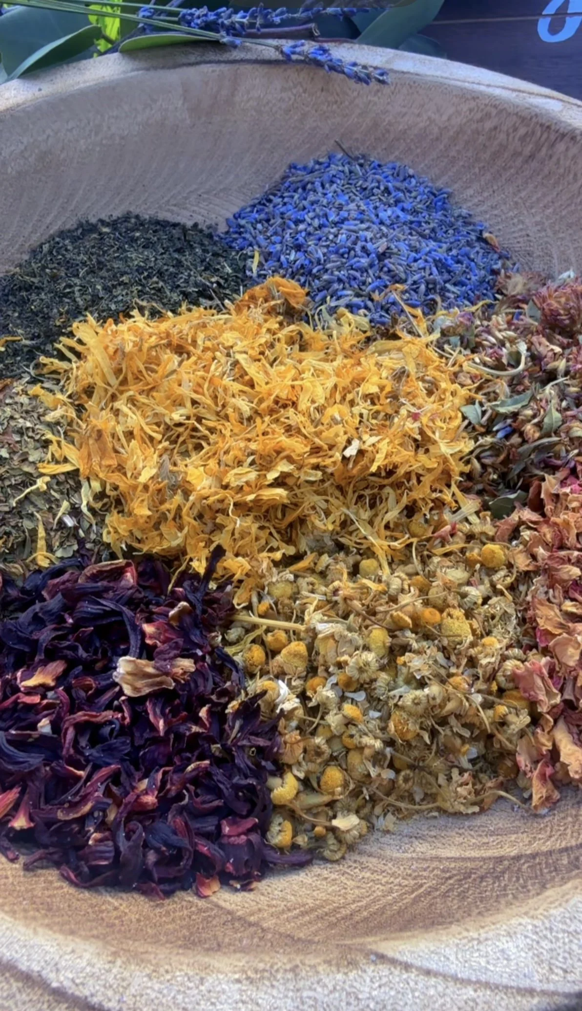 THE EDEN TEA COLLECTION- HERBAL BLENDS