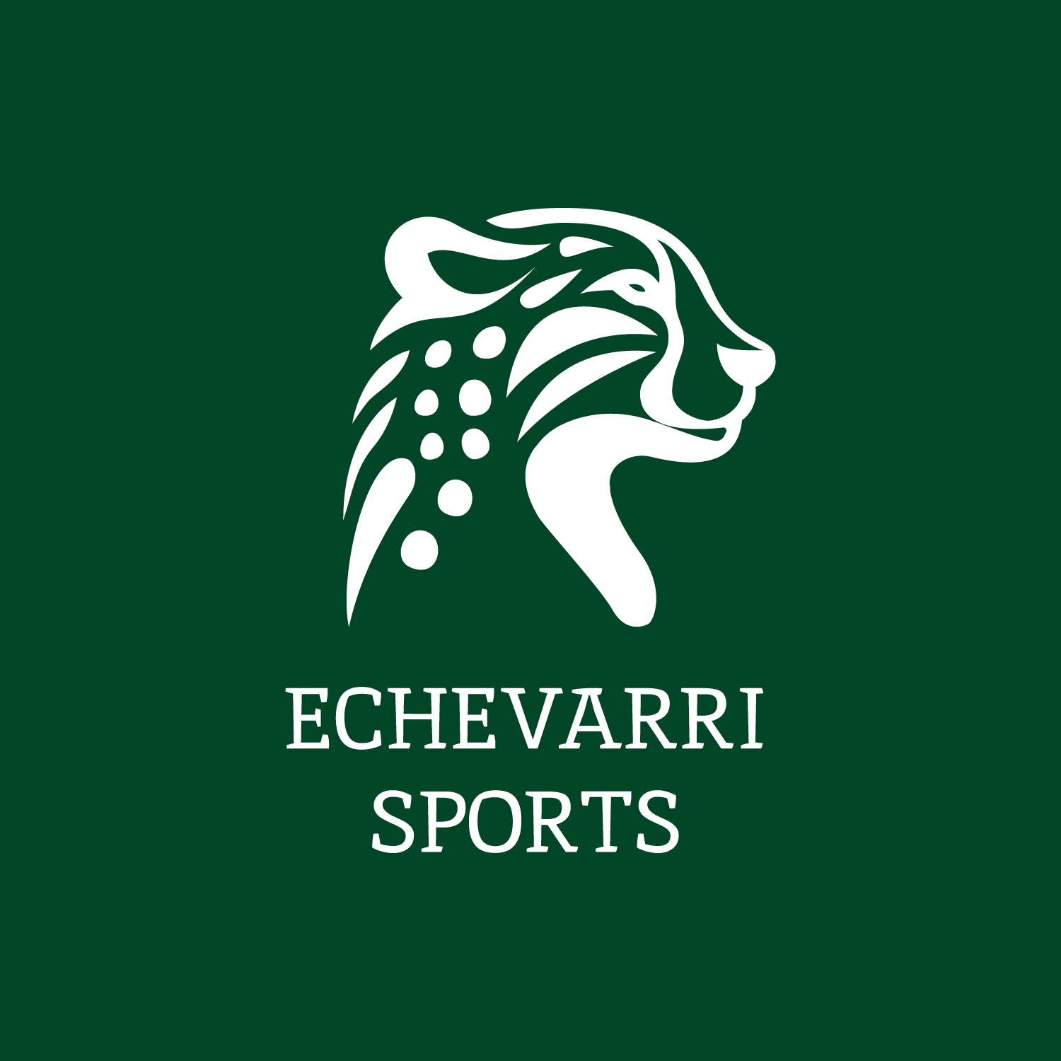 Echevarri Sports Logos 15 White Logo, Green Background.png