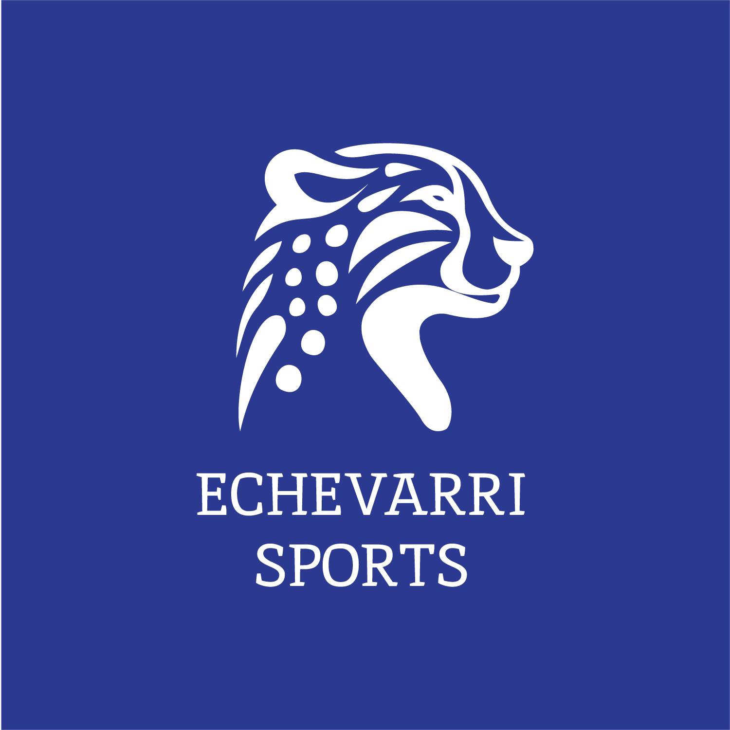 Echevarri Sports Logos 21 White on Blue.png