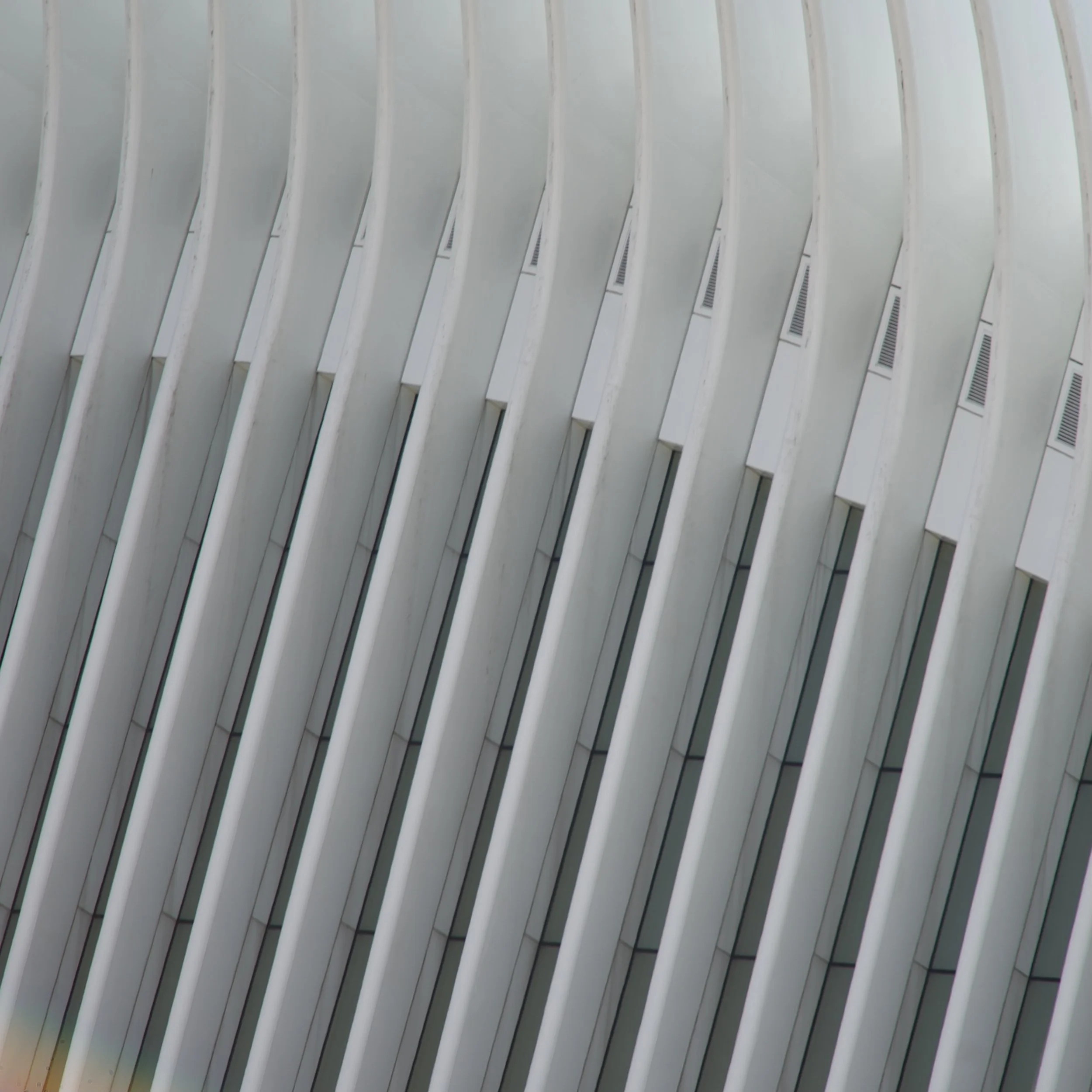 DSC02776.jpeg