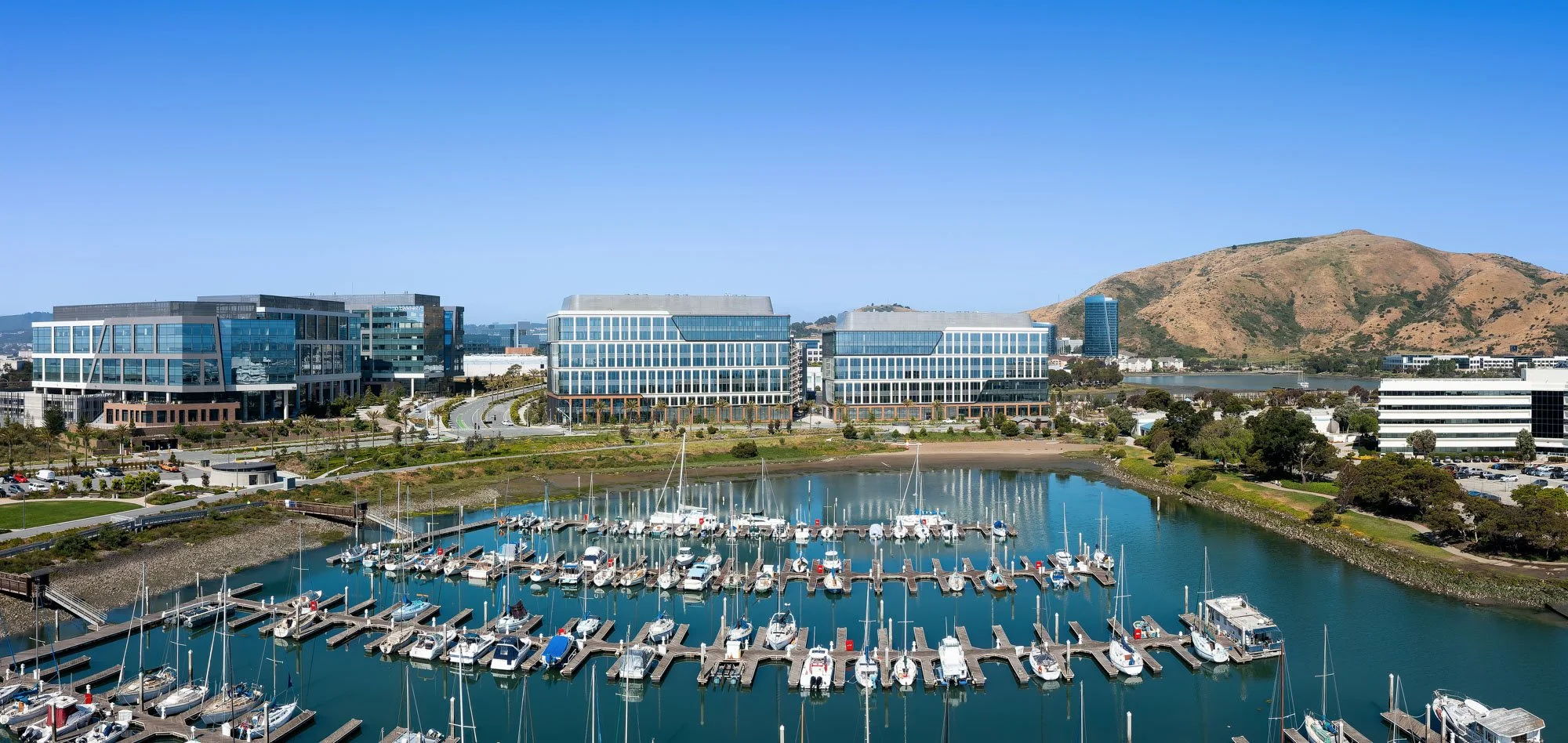 A marina with sailboats and motorboats docked, modern office buildings along the water, green park areas, and a hillside in the background under a clear blue sky.
