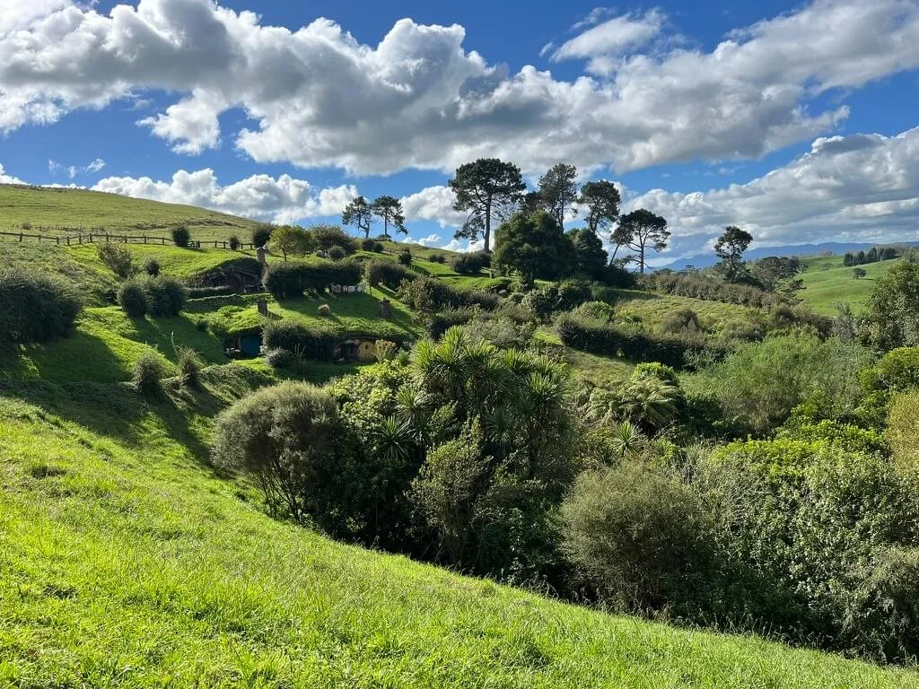 Taking in the views at Hobbiton