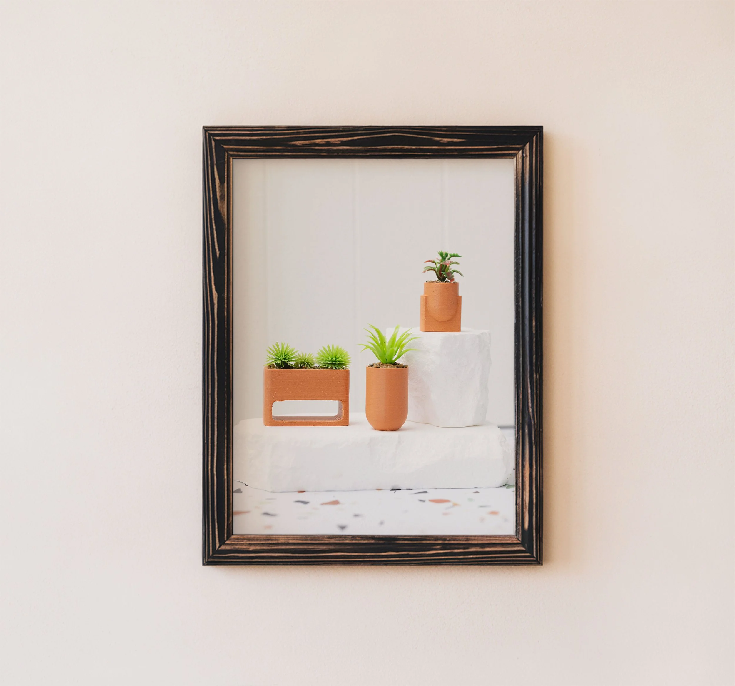 Windowsill Botanica Set- Rooted in Care Collection