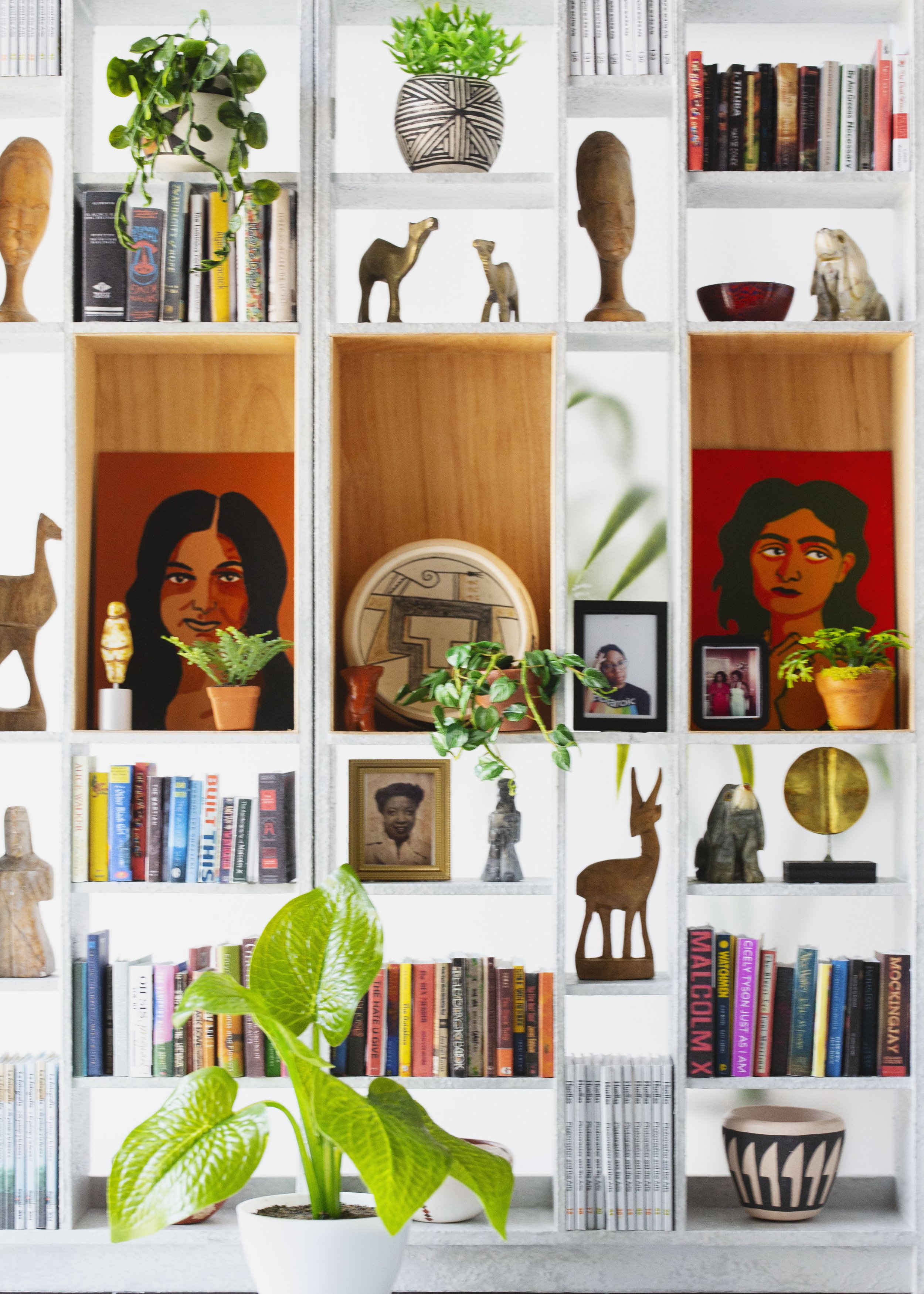A white bookshelf with various decorative items, books, framed photos, and plants including a large potted plant in the foreground.