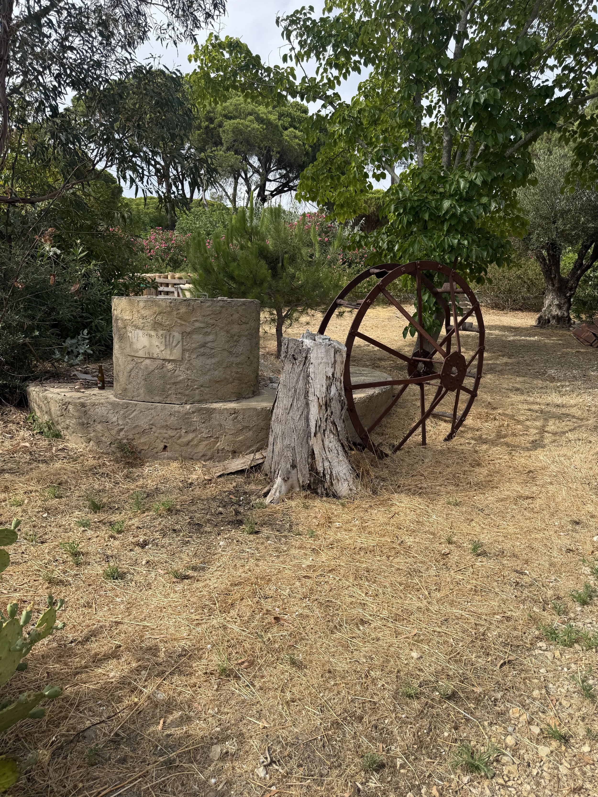 IMG_8409.jpeg