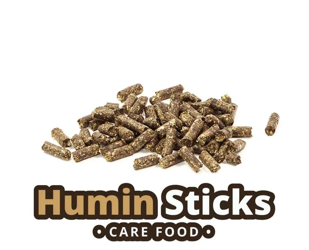 glasgarten-care-food-humin-sticks-garnelenfutter-1030x834.webp