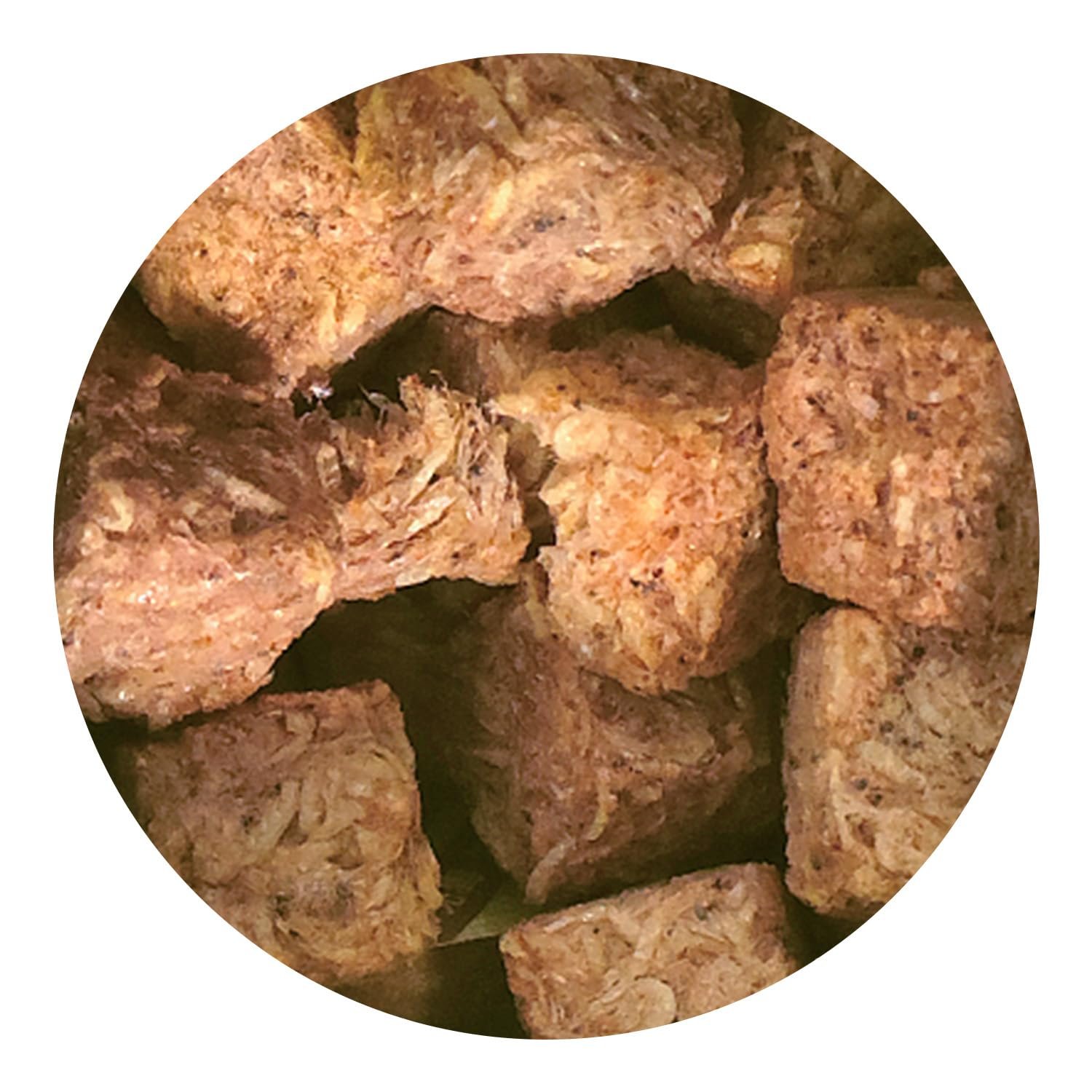 texture Ocean Plankton.jpg