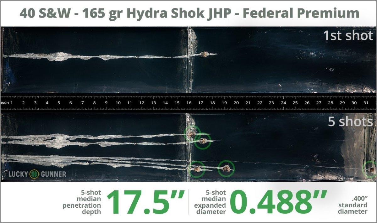 40 165 hydrashok.jpg