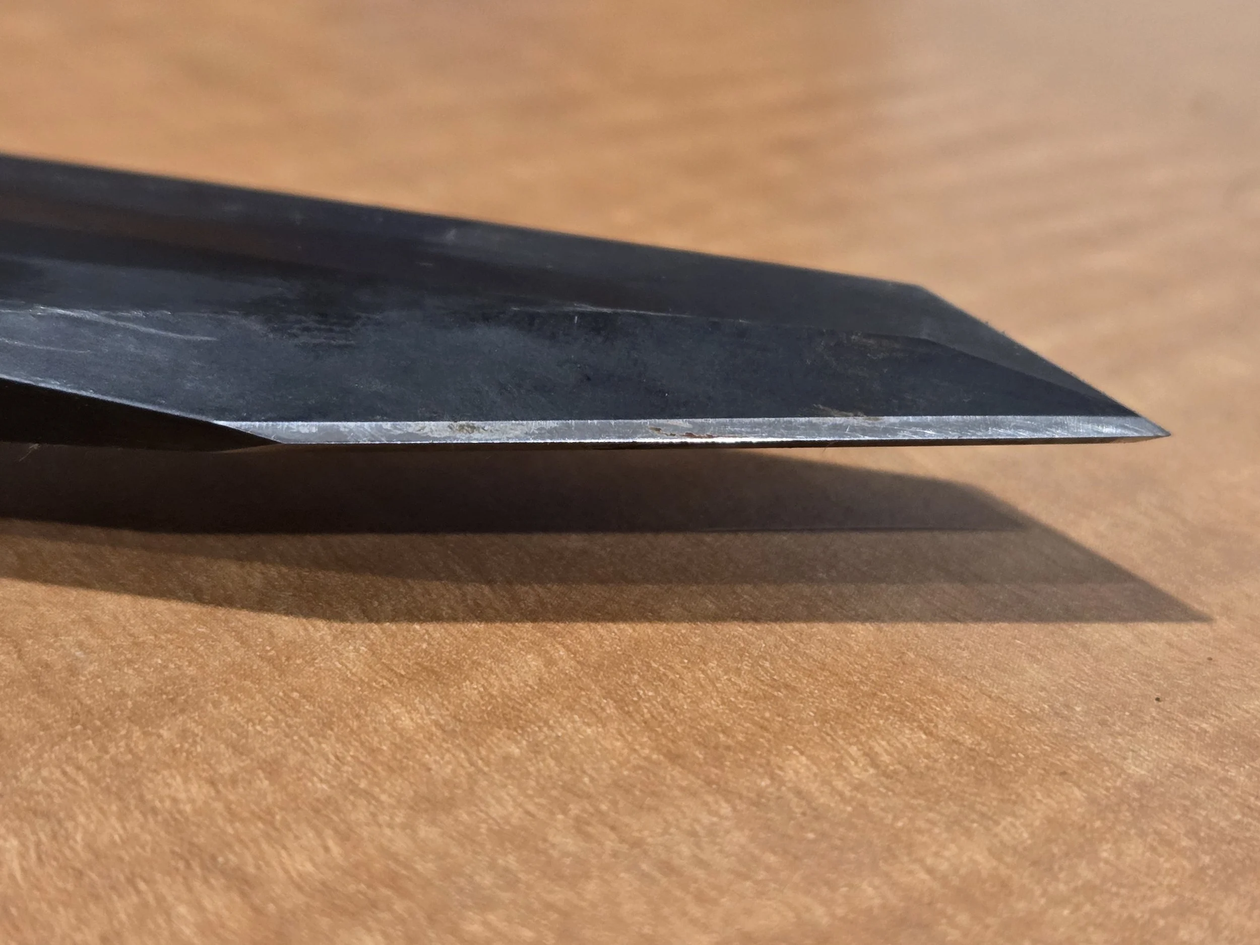 20260324_200950.jpg