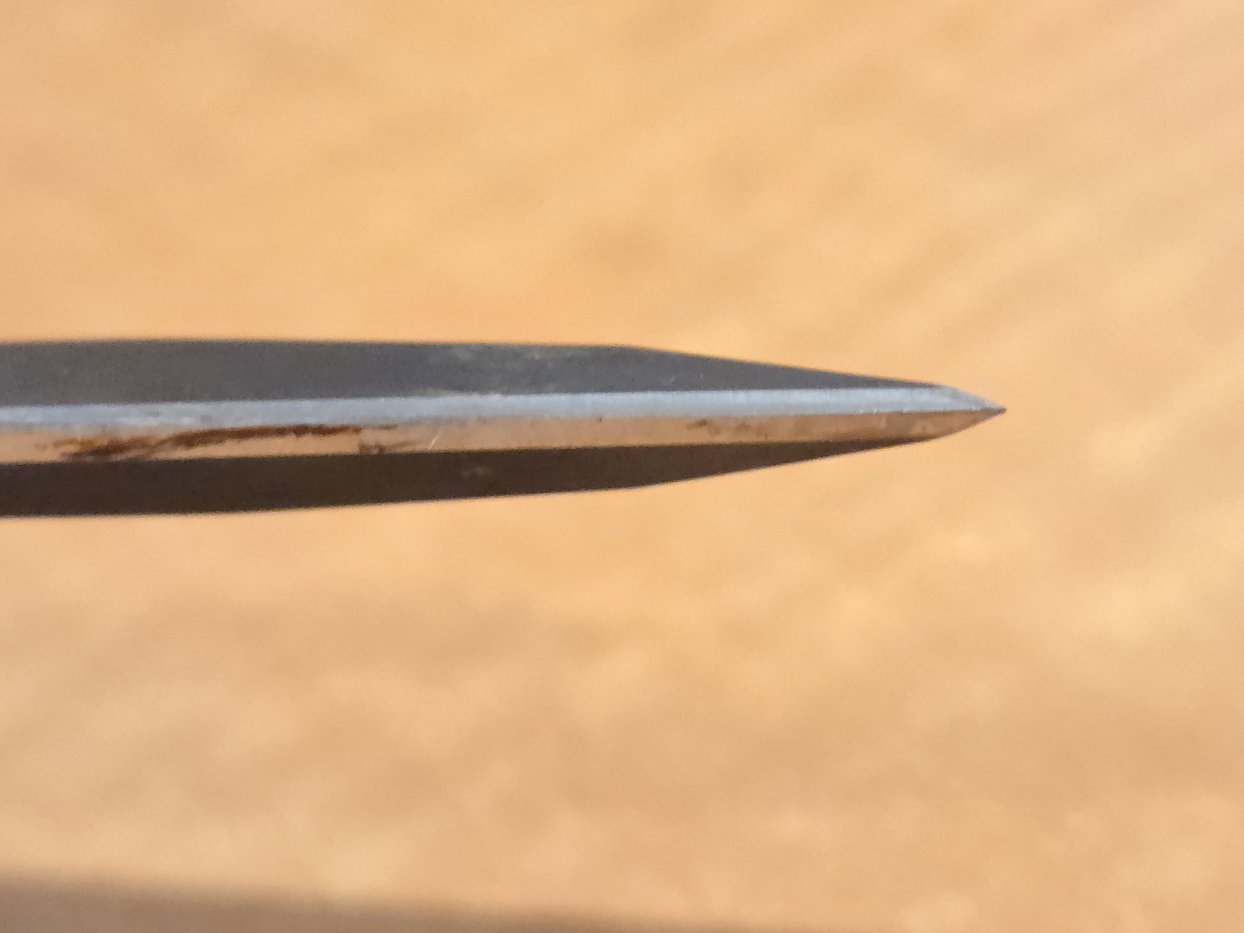 20260324_201203.jpg