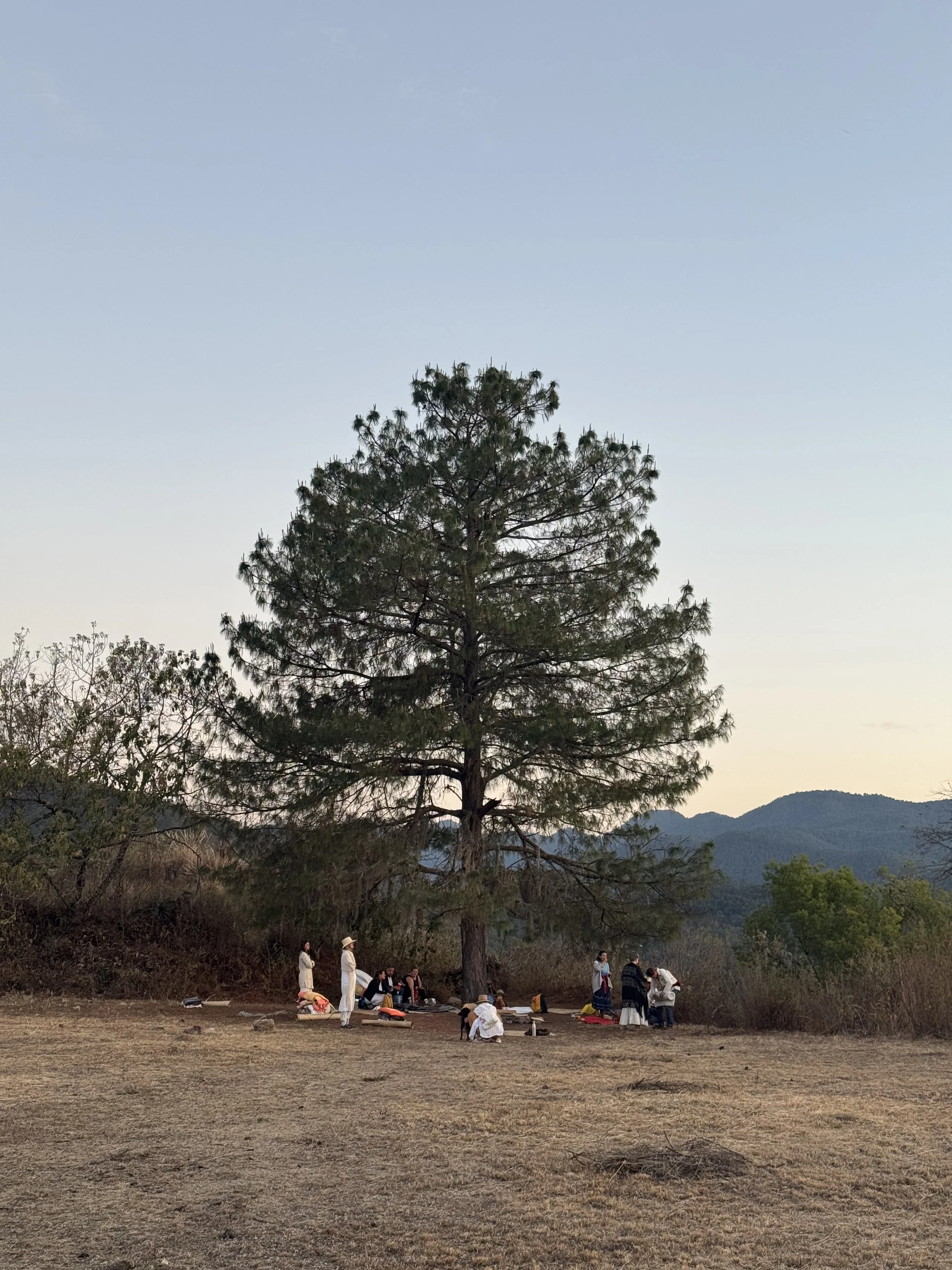 Ancient ceremonial site in Mexico