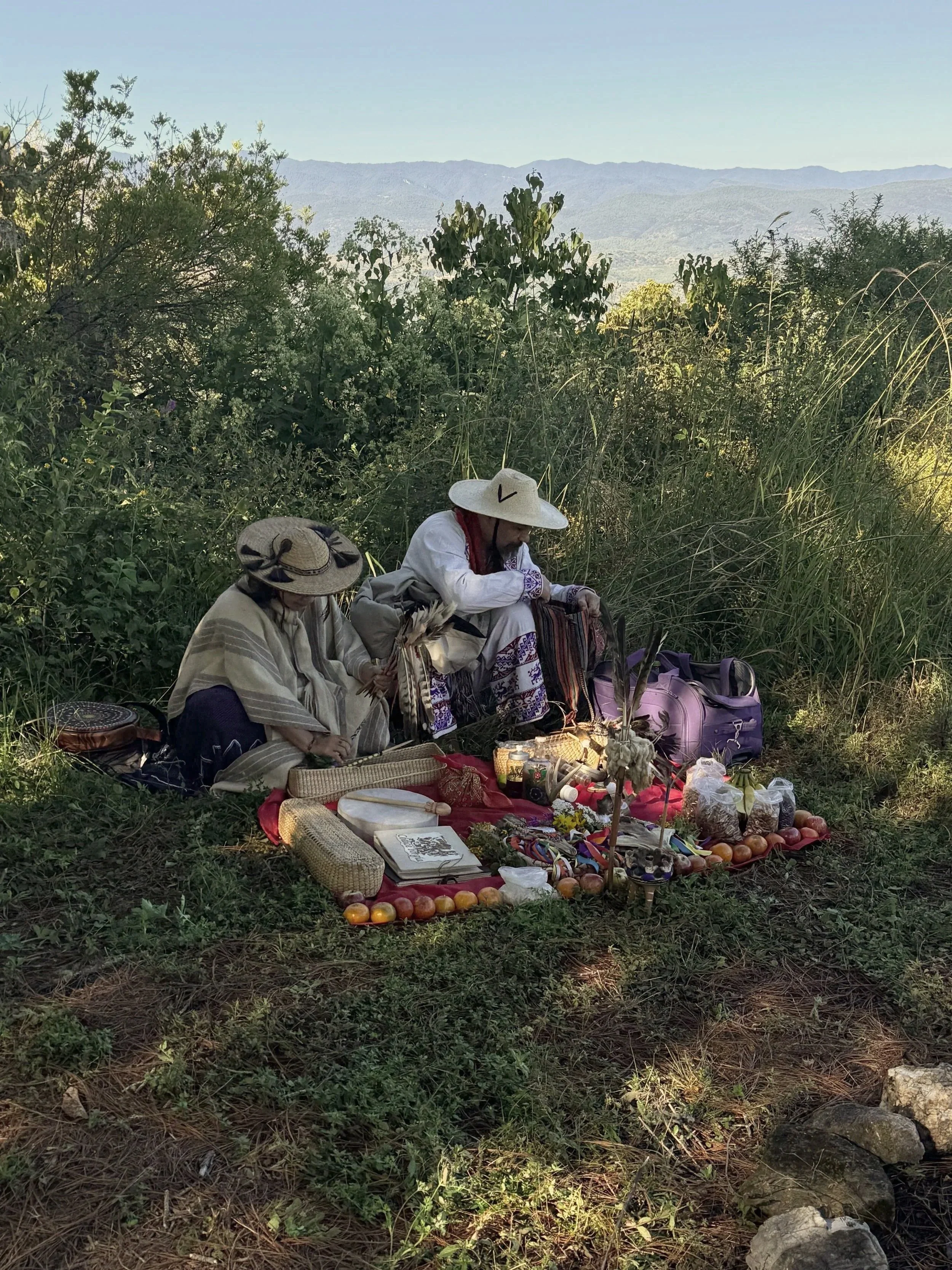 Indigenous Huichol healers with an a roadside altar with fruits, candles, and offerings, sitting in a grassy area with trees and mountains in the background.