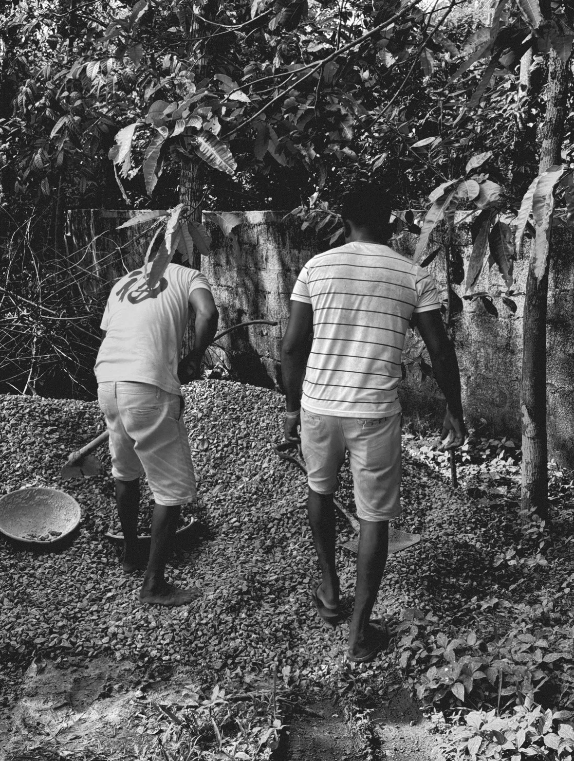 Two men working with shovels on a gravel path outdoors, surrounded by trees and a concrete wall.