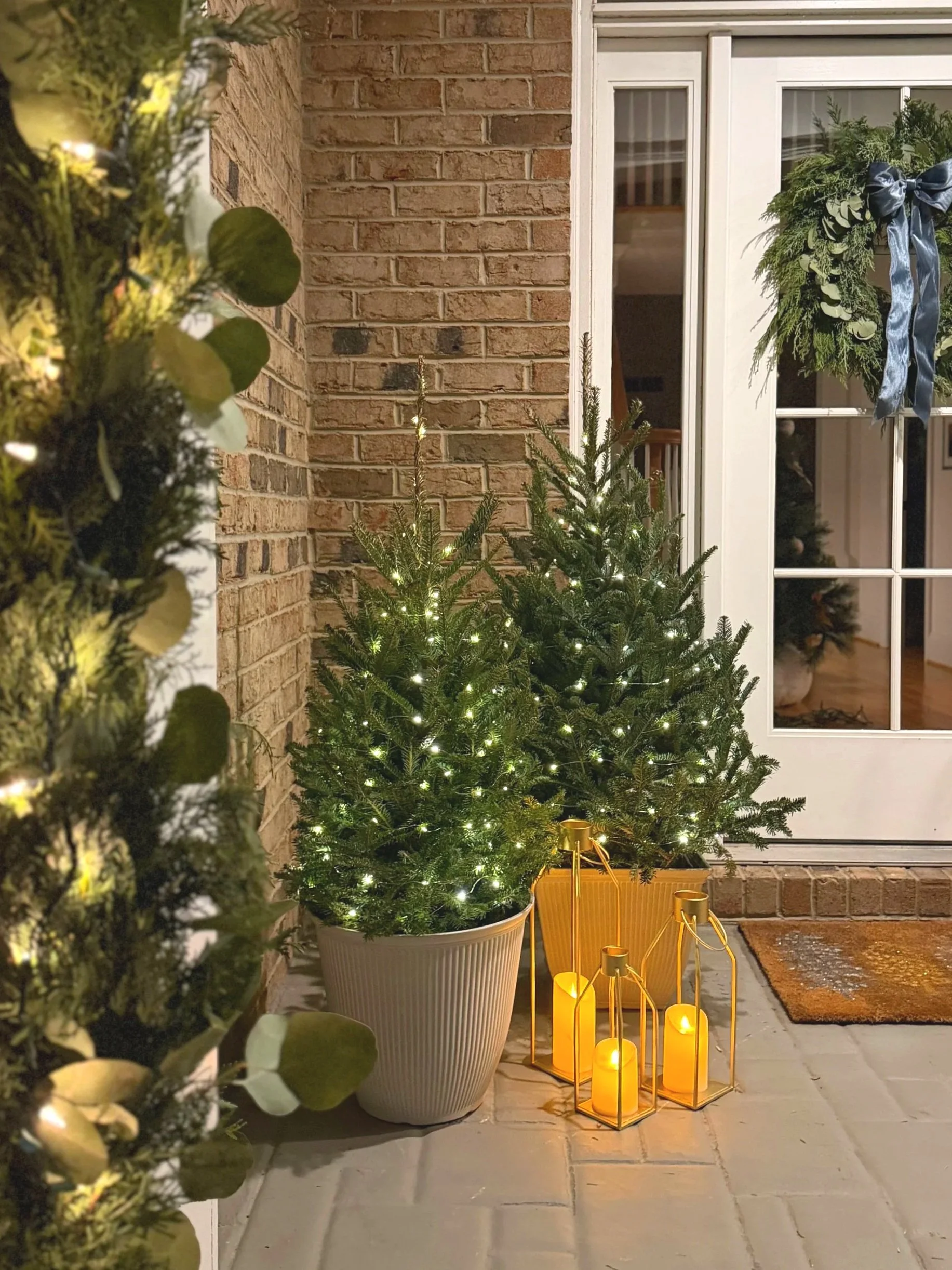 Potted Evergreens