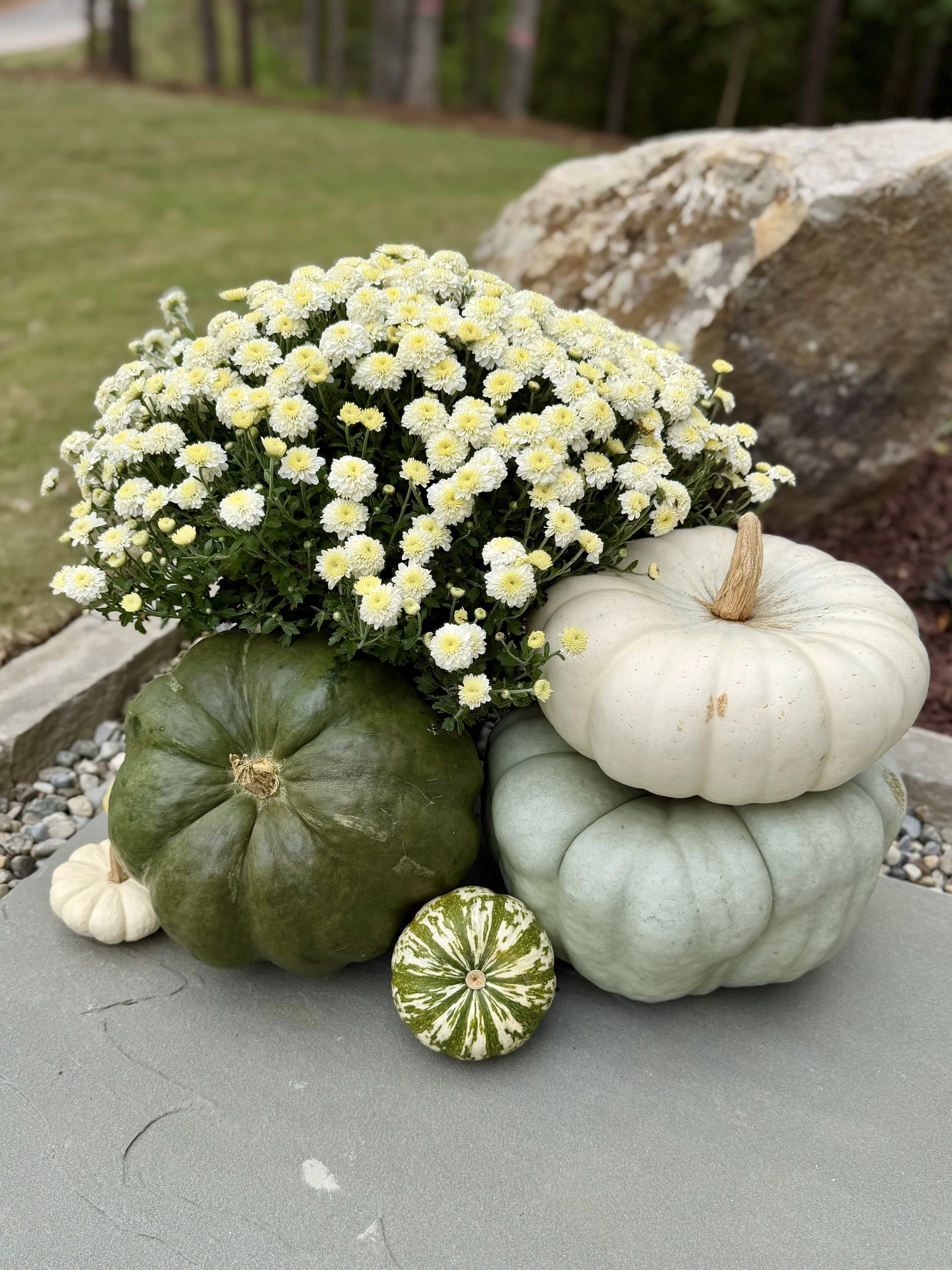 Design, Delivery & Installation of Fall Display 1