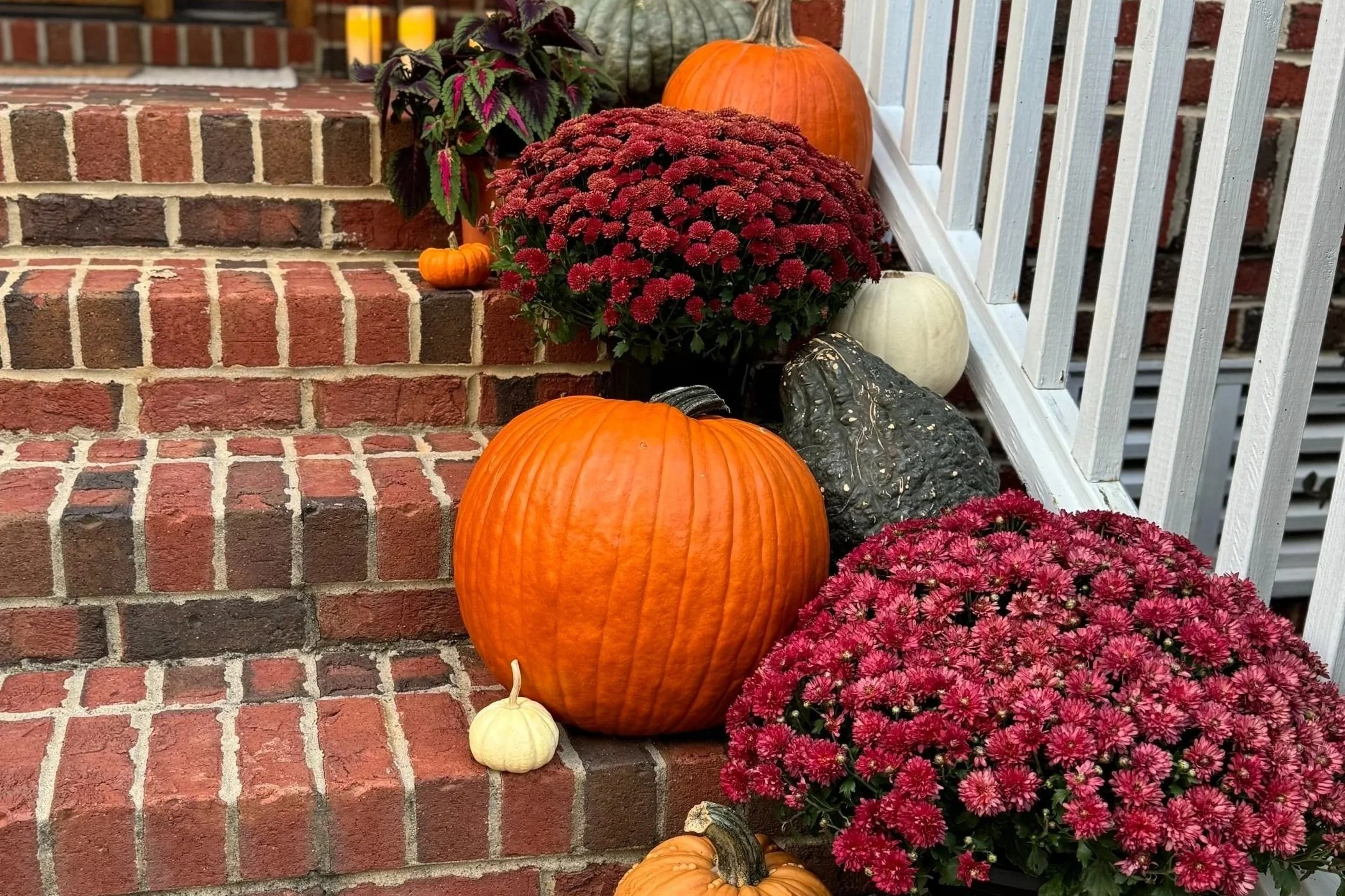 Decorative fall display on brick stairs featuring pumpkins, chrysanthemums, and gourds with a white railing in the background.