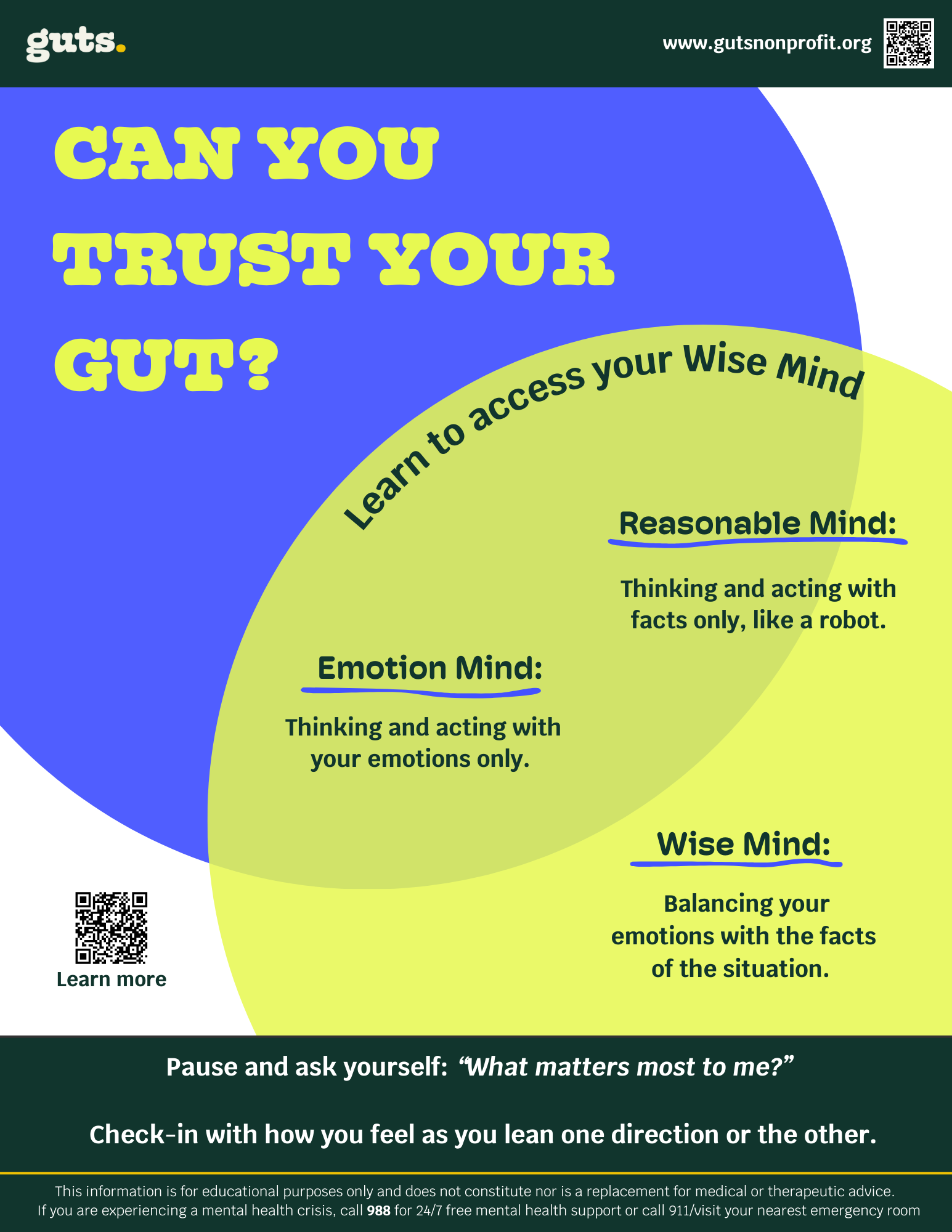 Flyer_Wise Mind (1).png