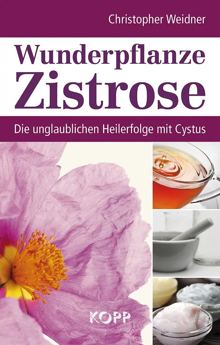 buch.jpeg