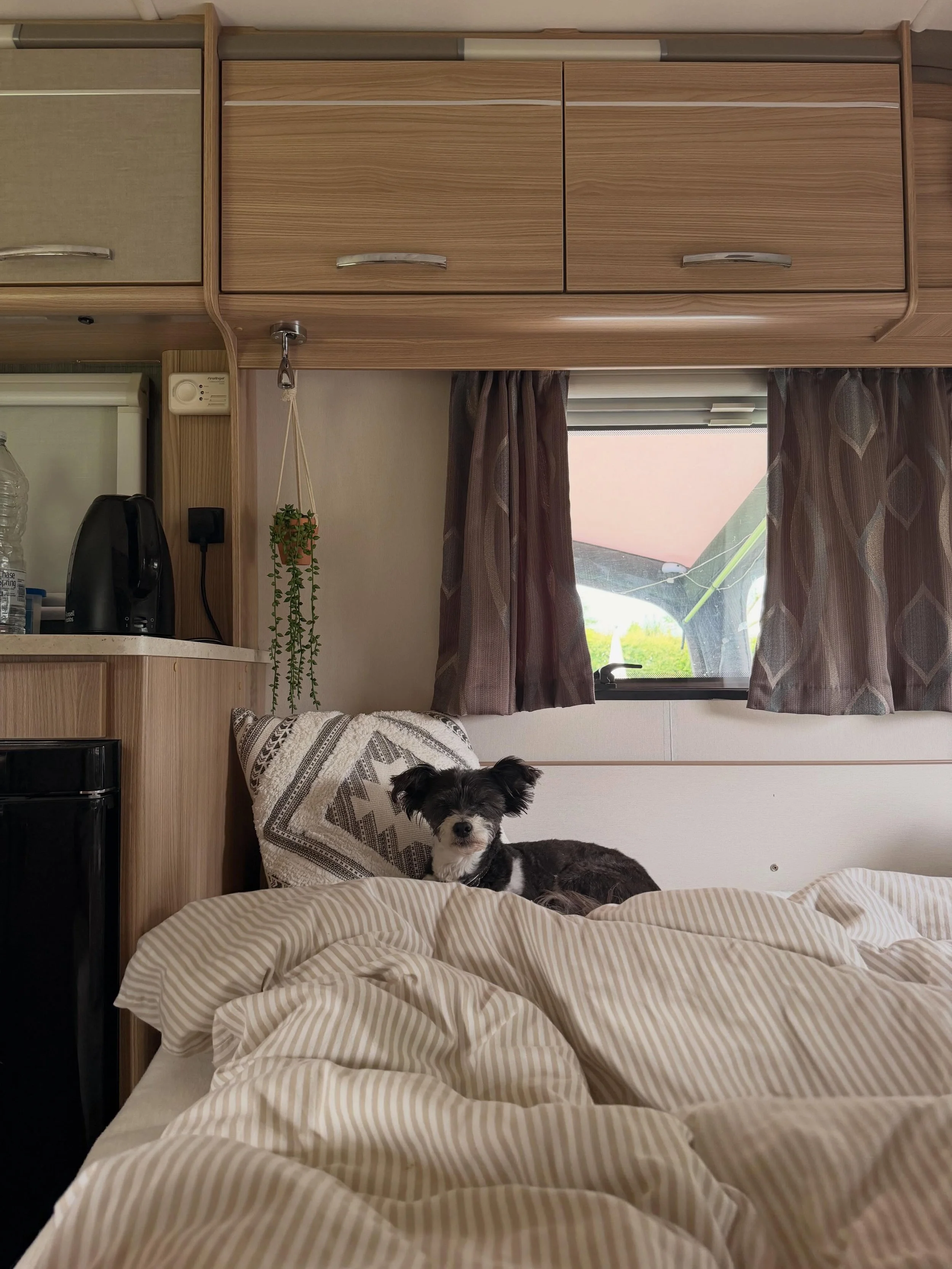 Lola is enjoying her caravan holiday. We don&rsquo;t always bring her as she can be a bit barky but she&rsquo;s been pretty chill - maybe it&rsquo;s the heat 🔥 🐶