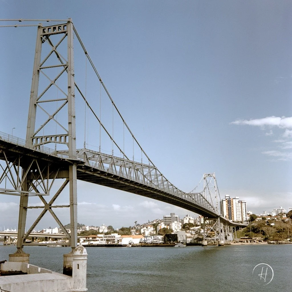 2974-6440-URG-Provia-100F-120-Juno-Bengochea_0874-1.jpg