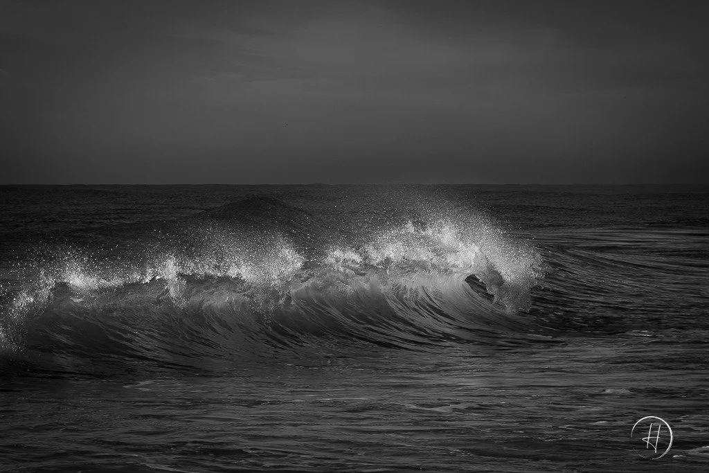 DSCF3091-Aprimorado-NR-1.jpg