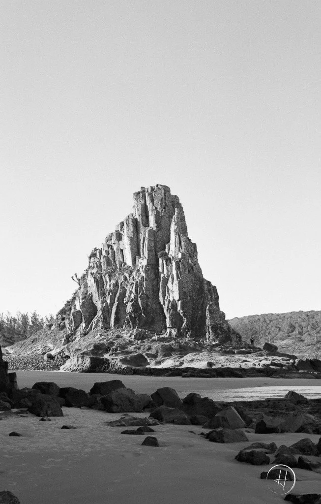 analoggang011-2.jpg
