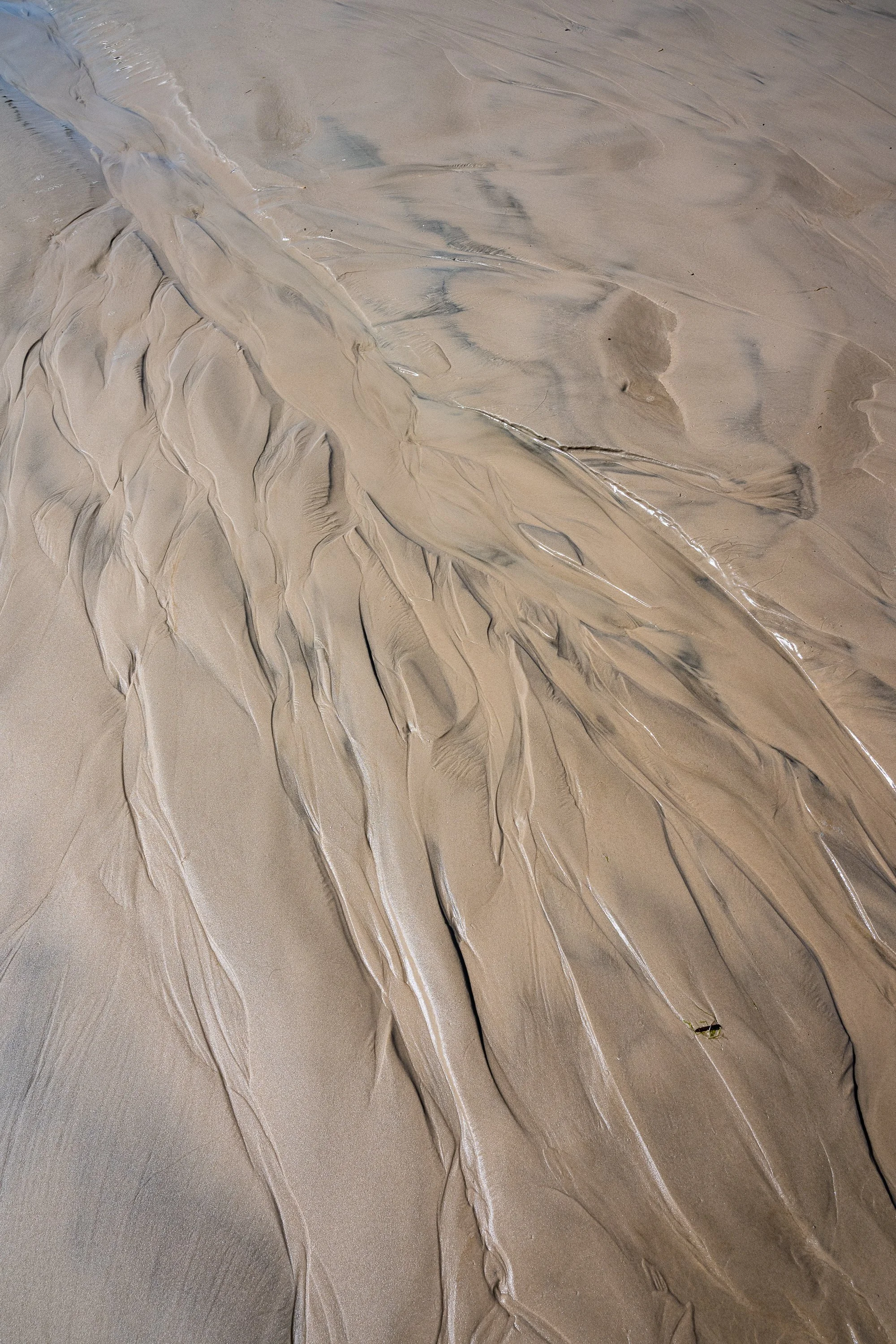 HST_0513.jpg