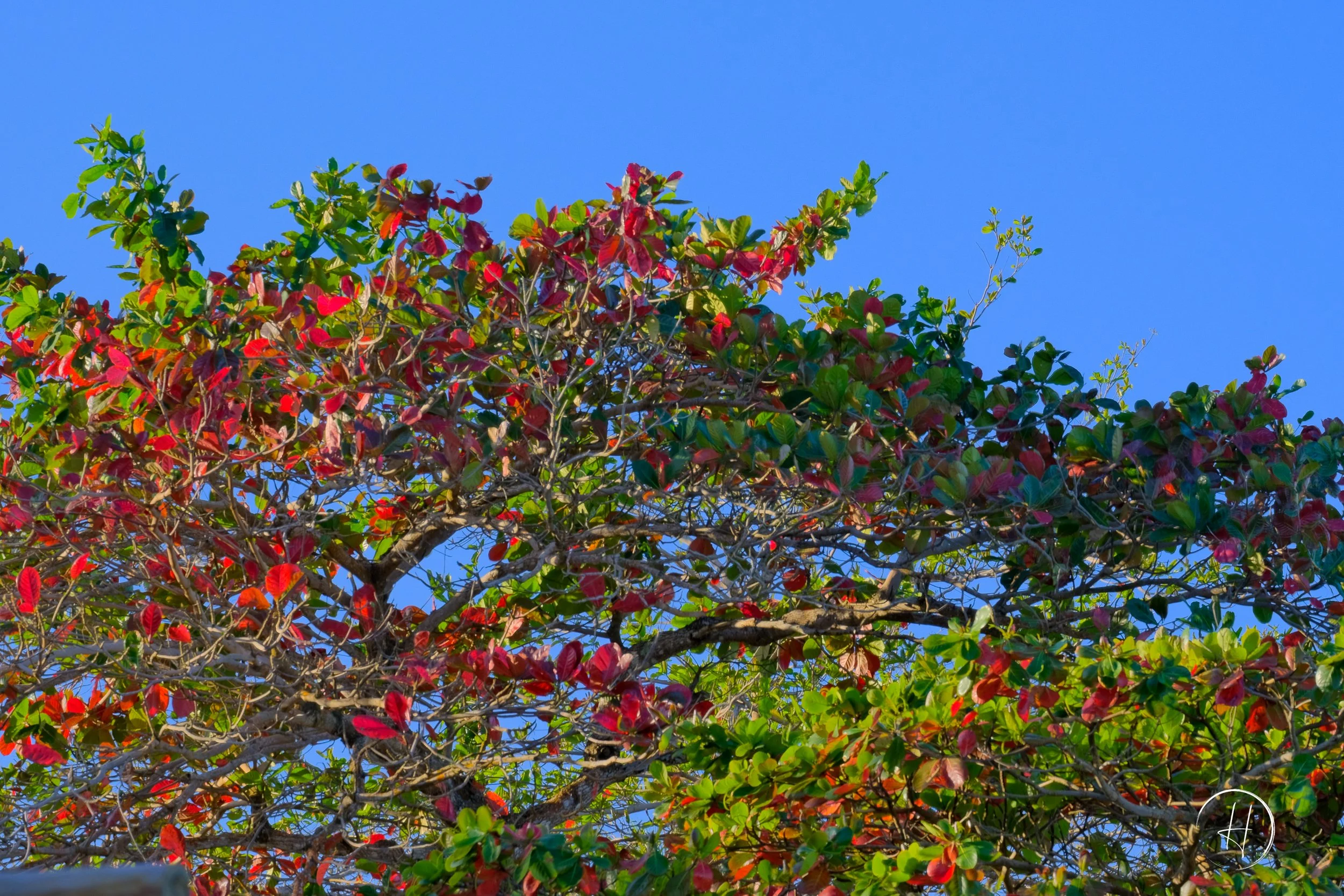 DSCF1741.jpg